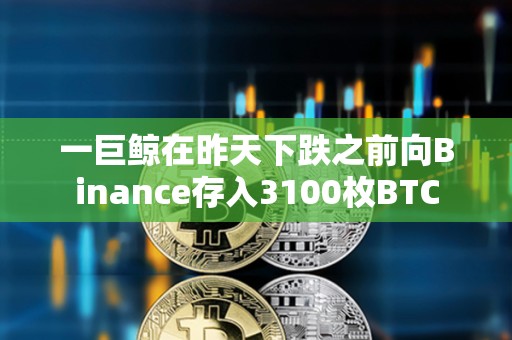 一巨鯨在昨天下跌之前向Binance存入3100枚BTC