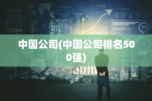 中國公司(中國公司排名500強)