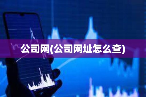 公司網(公司網址怎么查) 公司網(公司網址怎么查)