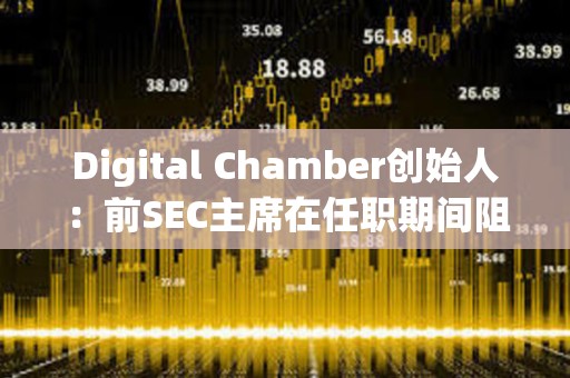 Digital Chamber創(chuàng)始人：前SEC主席在任職期間阻礙了現(xiàn)貨比特幣ETF的批準(zhǔn)