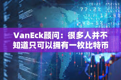 VanEck顧問：很多人并不知道只可以擁有一枚比特幣的一小部分