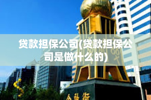 貸款擔保公司(貸款擔保公司是做什么的)