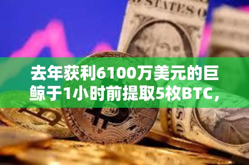 去年獲利6100萬美元的巨鯨于1小時前提取5枚BTC，或作為測試交易