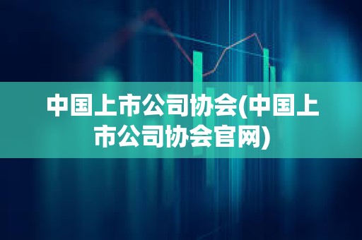 中國上市公司協(xié)會(中國上市公司協(xié)會官網(wǎng))
