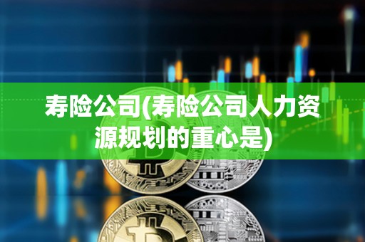 壽險公司(壽險公司人力資源規(guī)劃的重心是) 壽險公司(壽險公司人力資源規(guī)劃的重心是)