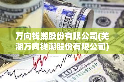 萬向錢潮股份有限公司(蕪湖萬向錢潮股份有限公司)