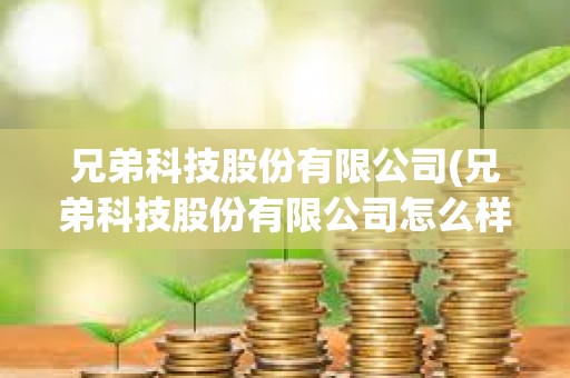 兄弟科技股份有限公司(兄弟科技股份有限公司怎么樣)@