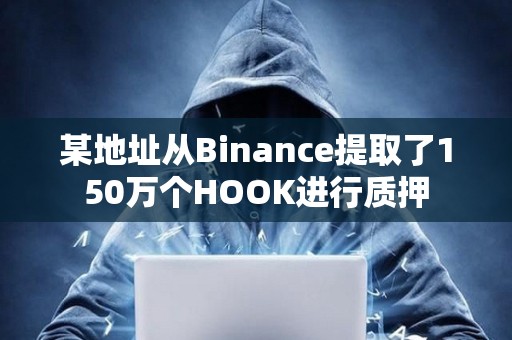某地址從Binance提取了150萬個HOOK進行質押