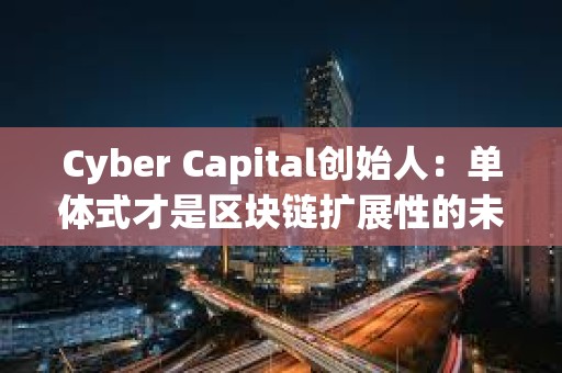 Cyber Capital創始人：單體式才是區塊鏈擴展性的未來