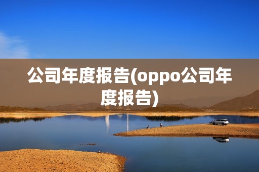 公司年度報告(oppo公司年度報告)
