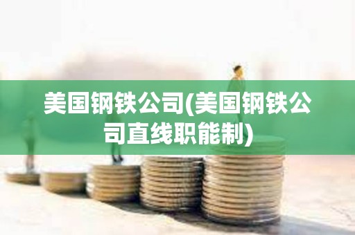 美國鋼鐵公司(美國鋼鐵公司直線職能制)