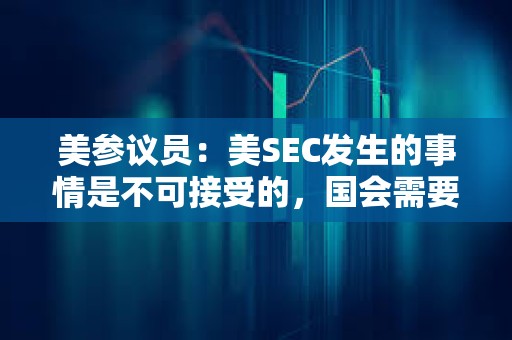 美參議員：美SEC發(fā)生的事情是不可接受的，國(guó)會(huì)需要答案