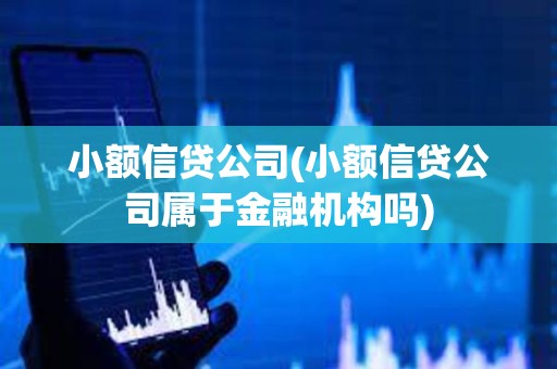小額信貸公司(小額信貸公司屬于金融機構嗎)