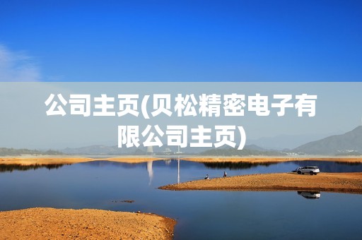 公司主頁(貝松精密電子有限公司主頁)