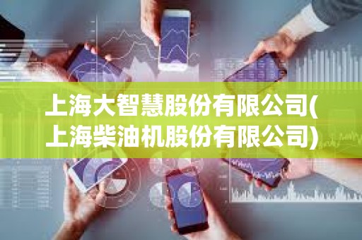 上海大智慧股份有限公司(上海柴油機(jī)股份有限公司)