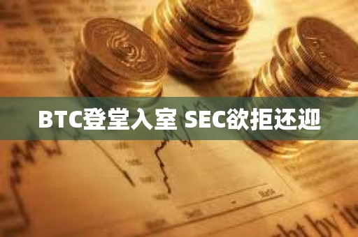 BTC登堂入室 SEC欲拒還迎