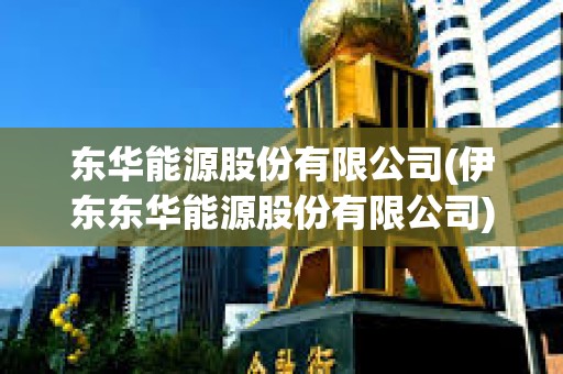 東華能源股份有限公司(伊東東華能源股份有限公司) 東華能源股份有限公司(伊東東華能源股份有限公司)