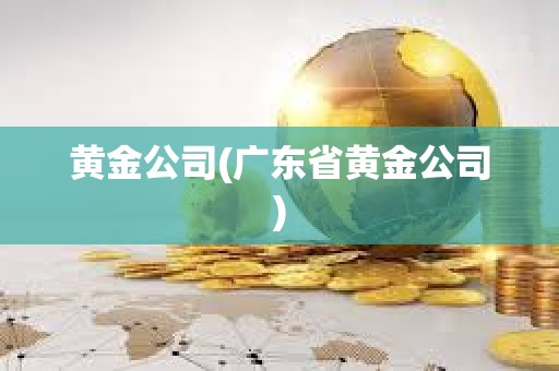 黃金公司(廣東省黃金公司)