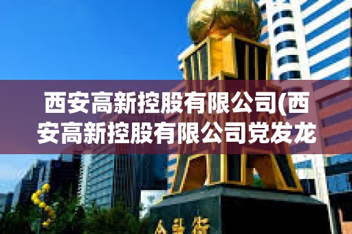 西安高新控股有限公司(西安高新控股有限公司黨發龍) 西安高新控股有限公司(西安高新控股有限公司黨發龍)