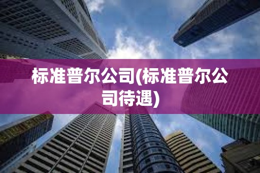 標準普爾公司(標準普爾公司待遇) 標準普爾公司(標準普爾公司待遇)
