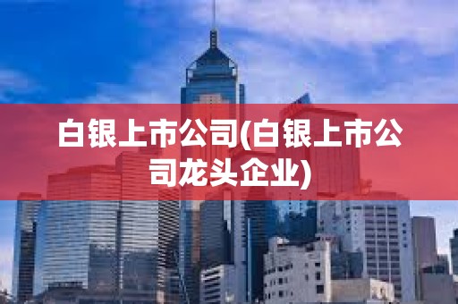 白銀上市公司(白銀上市公司龍頭企業)