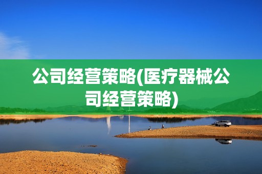 公司經(jīng)營(yíng)策略(醫(yī)療器械公司經(jīng)營(yíng)策略) 公司經(jīng)營(yíng)策略(醫(yī)療器械公司經(jīng)營(yíng)策略)