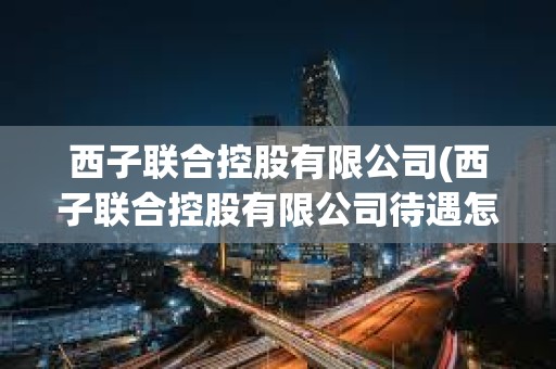 西子聯(lián)合控股有限公司(西子聯(lián)合控股有限公司待遇怎么樣) 西子聯(lián)合控股有限公司(西子聯(lián)合控股有限公司待遇怎么樣)