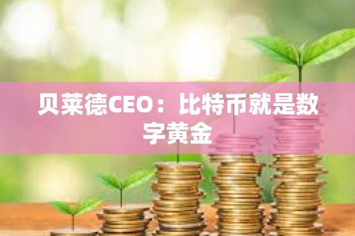 貝萊德CEO：比特幣就是數字黃金