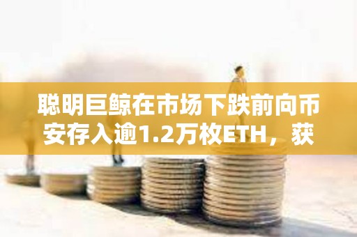 聰明巨鯨在市場下跌前向幣安存入逾1.2萬枚ETH，獲利220萬美元