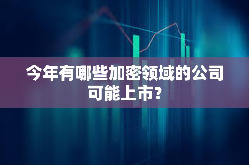 今年有哪些加密領域的公司可能上市？