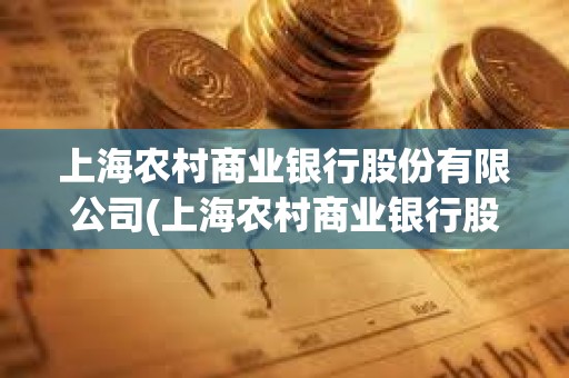 上海農(nóng)村商業(yè)銀行股份有限公司(上海農(nóng)村商業(yè)銀行股份有限公司貸款)