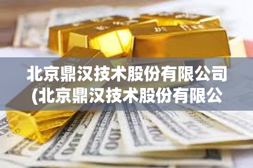 北京鼎漢技術(shù)股份有限公司(北京鼎漢技術(shù)股份有限公司財務(wù)報表分析)