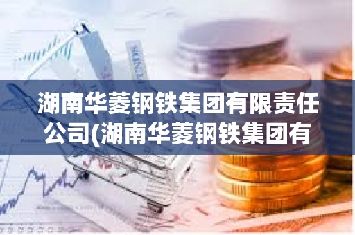 湖南華菱鋼鐵集團有限責任公司(湖南華菱鋼鐵集團有限責任公司是國企嗎)