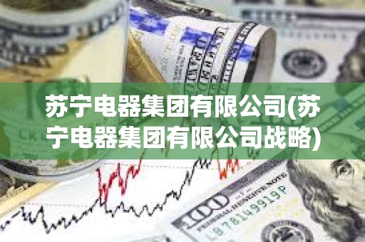 蘇寧電器集團有限公司(蘇寧電器集團有限公司戰略) 蘇寧電器集團有限公司(蘇寧電器集團有限公司戰略)