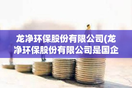 龍凈環保股份有限公司(龍凈環保股份有限公司是國企嗎)