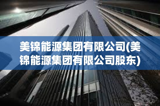 美錦能源集團有限公司(美錦能源集團有限公司股東)