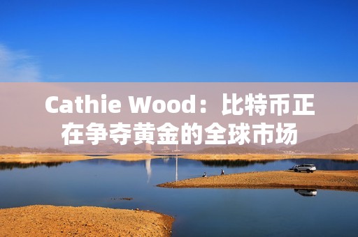 Cathie Wood：比特幣正在爭奪黃金的全球市場
