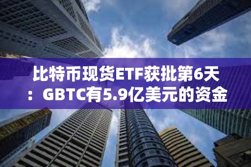 比特幣現貨ETF獲批第6天：GBTC有5.9億美元的資金流出