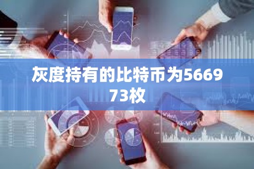 灰度持有的比特幣為566973枚