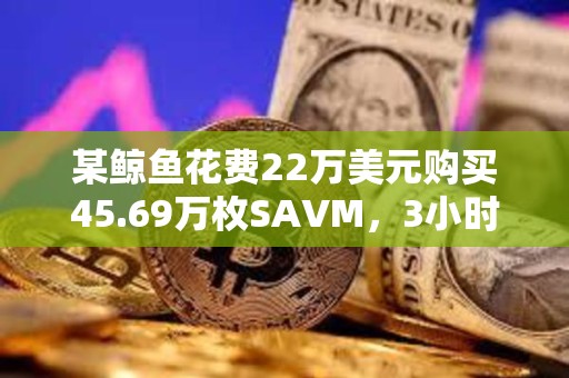 某鯨魚花費22萬美元購買45.69萬枚SAVM，3小時內獲利100萬美元