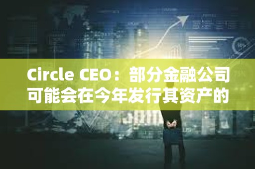 Circle CEO:部分金融公司可能會在今年發(fā)行其資產(chǎn)的代幣化版本 Circle CEO:部分金融公司可能會在今年發(fā)行其資產(chǎn)的代幣化版本