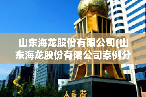山東海龍股份有限公司(山東海龍股份有限公司案例分析) 山東海龍股份有限公司(山東海龍股份有限公司案例分析)