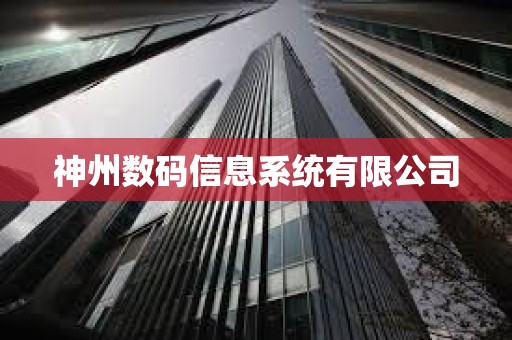 神州數(shù)碼信息系統(tǒng)有限公司 神州數(shù)碼信息系統(tǒng)有限公司