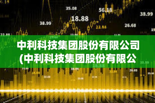 中利科技集團股份有限公司(中利科技集團股份有限公司金曉峰) 中利科技集團股份有限公司(中利科技集團股份有限公司金曉峰)