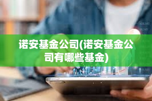 諾安基金公司(諾安基金公司有哪些基金)