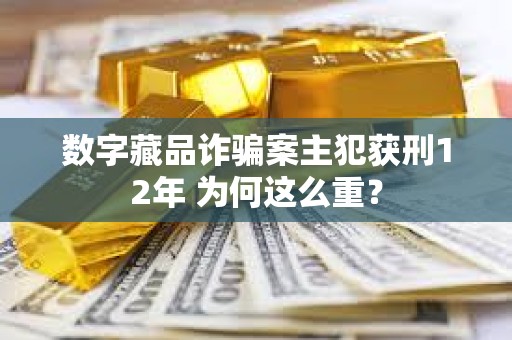 數字藏品詐騙案主犯獲刑12年 為何這么重？