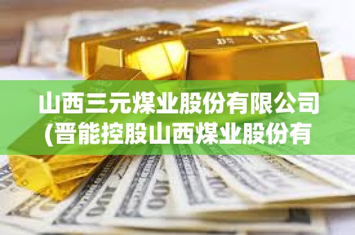 山西三元煤業(yè)股份有限公司(晉能控股山西煤業(yè)股份有限公司)