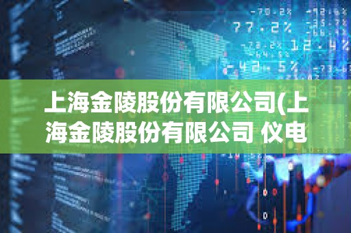 上海金陵股份有限公司(上海金陵股份有限公司 儀電控股集團(tuán))