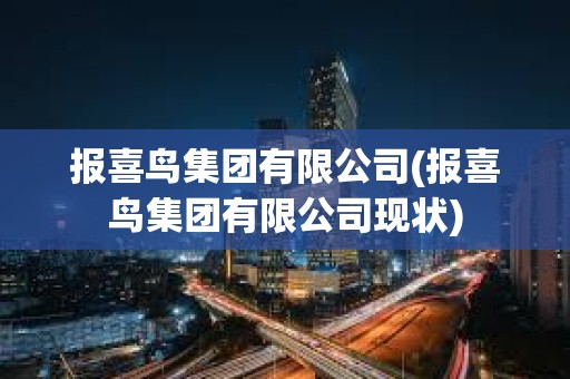 報喜鳥集團有限公司(報喜鳥集團有限公司現狀)