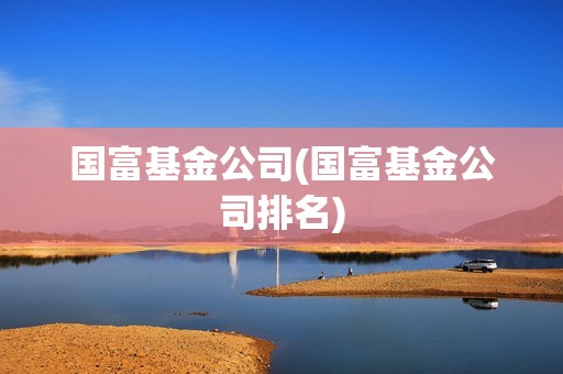 國富基金公司(國富基金公司排名)